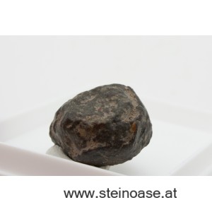 Meteorit / Steinmeteorit